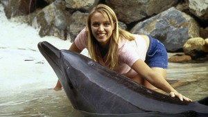 Flipper kép