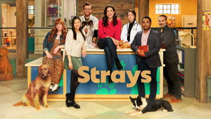 Strays kép