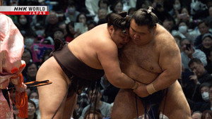 GRAND SUMO Highlights 33. évad Ep.8 8. epizód