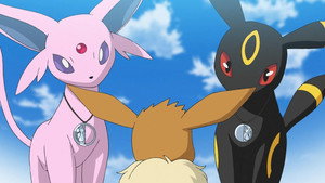 Pokémon Pokémonmester: Utazás Ep.31 Éjjel-nappal sötétség