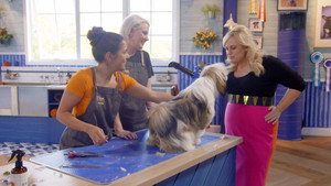Pooch Perfect 1. évad Ep.2 2. epizód