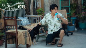 向流星許願的我們 kép