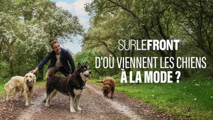 Sur le front 7. évad Ep.9 9. epizód