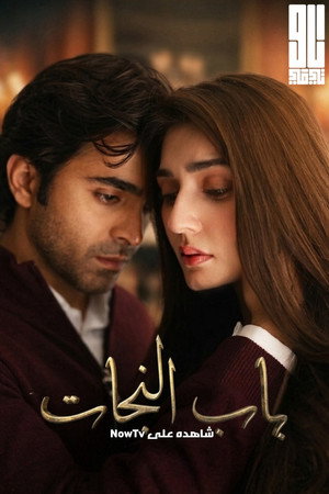 در نجات poszter