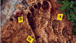 Bigfoot Took Her kép