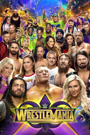 WWE Pay Per View 34. évad (2018-01-27) poszter