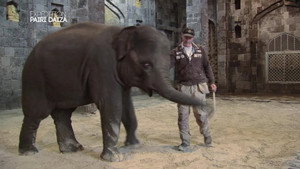 Expédition Pairi Daiza 1. évad Ep.2 2. epizód