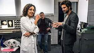 Einstein rejtélyei 1. évad Ep.8 8. epizód