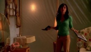 NCIS: Tengerészeti helyszínelők 2. évad Ep.2 Jó feleségek klubja