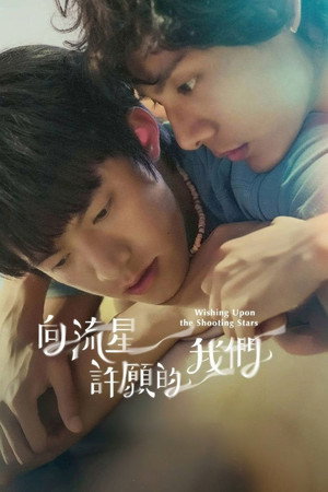 向流星許願的我們 poszter