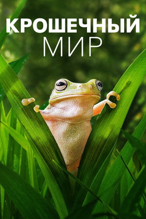 Apró világ poszter