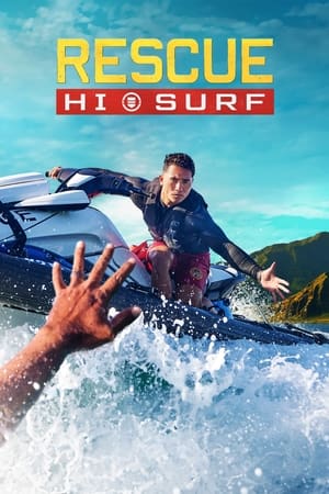 Vízimentők: Hawaii poszter