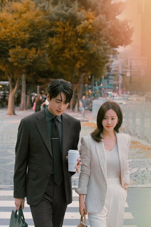 나의 완벽한 비서 poszter