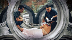 尘封十三载 kép