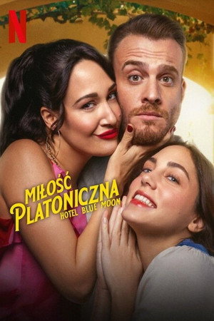 Platonik poszter