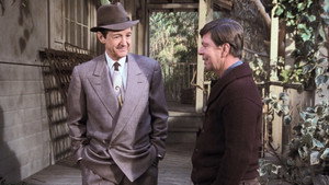 The Waltons 8. évad Ep.20 20. epizód