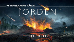 Vetenskapens värld 50. évad Ep.25 25. epizód