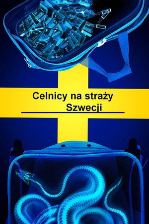 Határellenőrzés - Svédország poszter