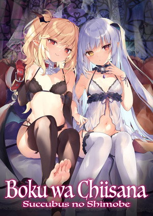 僕は小さな淫魔のしもべ poszter