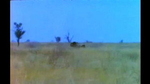 Mutual of Omaha's Wild Kingdom 3. évad Ep.6 6. epizód