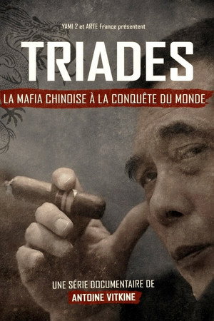 Triades : la Mafia chinoise à la conquête du monde poszter