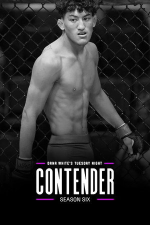 Dana White's Contender Series 6. évad (2022-07-26) poszter