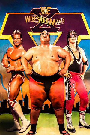 WWE Pay Per View 10. évad (1994-01-22) poszter