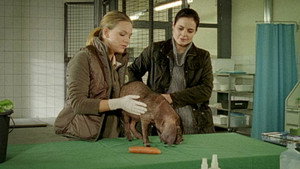 Anya, az állatorvos 2. évad Ep.12 12. epizód