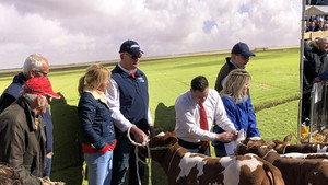 Onze boerderij 2. évad Ep.6 6. epizód