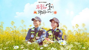 무궁화 꽃이 피었습니다 kép