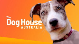 The Dog House Australia kép