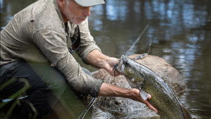 Jeremy Wade - sötét vizeken 1. évad Ep.3 3. epizód