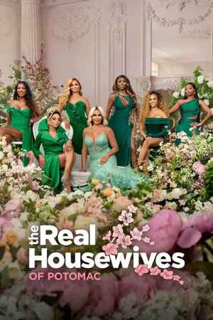 The Real Housewives of Potomac 9. évad (2024-10-06) poszter