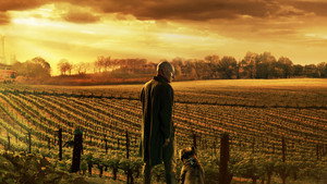Star Trek: Picard kép