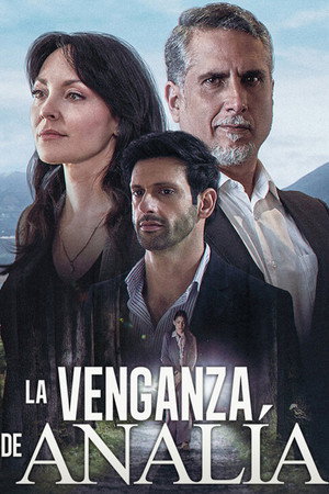 La venganza de Analía poszter