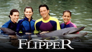 Flipper kép