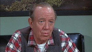 Mayberry R.F.D. 1. évad Ep.23 23. epizód
