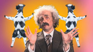 Horrible Science 2. évad Ep.9 9. epizód