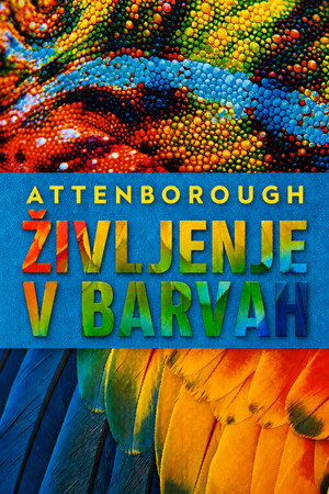 David Attenborough: Az élet színei poszter