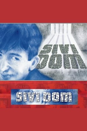 Sivi dom