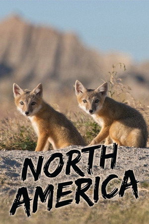 North America poszter