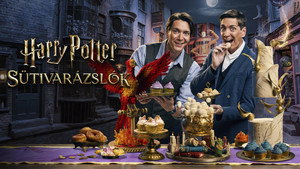 Harry Potter: Sütivarázslók kép