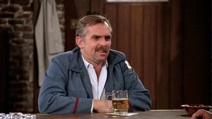 Cheers 1. évad Ep.13 A reklámember