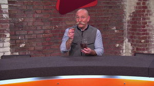 Bares für Rares 10. évad Ep.84 84. epizód