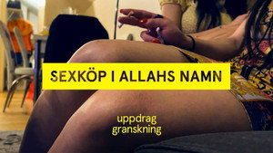 Uppdrag granskning 22. évad Ep.15 15. epizód