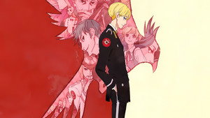 ACCA13区監察課 kép