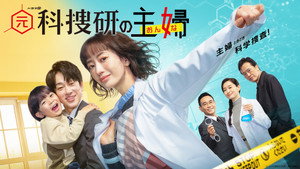 元科捜研の主婦 kép
