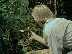 Huckleberry Finn és barátai 1. évad Ep.17 17. epizód