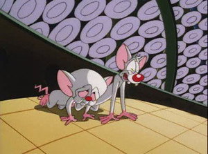 Pinky and the Brain 4. évad Ep.1 1. epizód