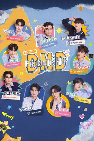 DMD Friendship The Reality poszter